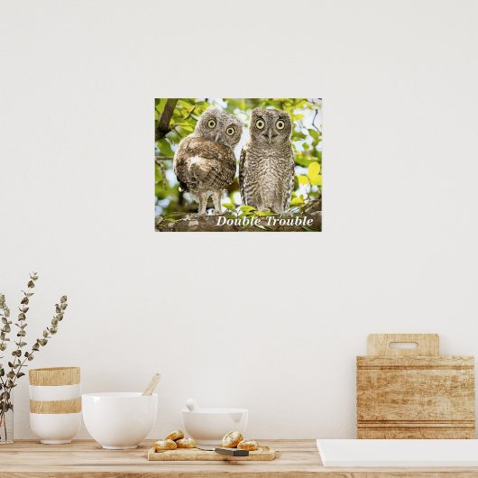 Screech Owls Chicken Poster (Keuken)