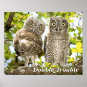 Screech Owls Chicken Poster (Voorkant)