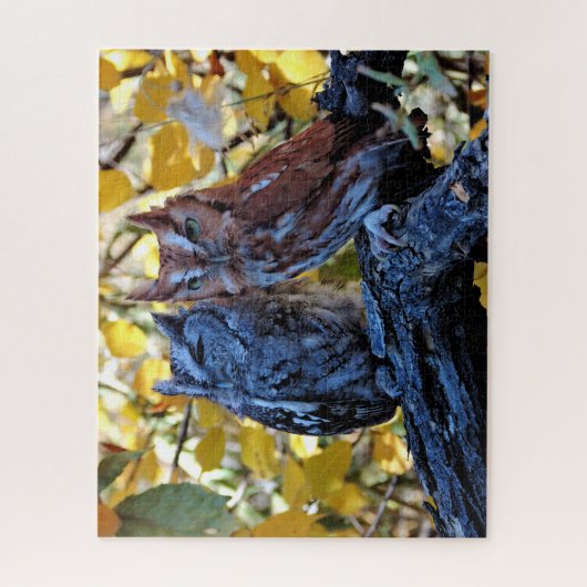 Screech Owls Legpuzzel (Verticaal)