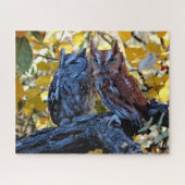 Screech Owls Legpuzzel (Horizontaal)