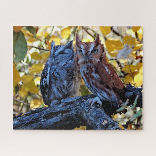 Screech Owls Legpuzzel (Horizontaal)