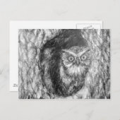 Screech Ownership Owl Charcoal Black & White Teken Briefkaart (Voorkant / Achterkant)