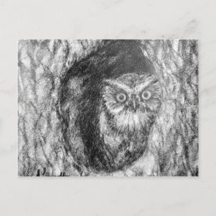 Screech Ownership Owl Charcoal Black & White Teken Briefkaart