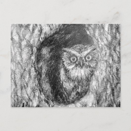 Screech Ownership Owl Charcoal Black & White Teken Briefkaart (Voorkant)