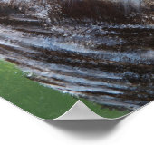 Screeching Archival Museum Quality Print (Hoek)