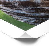 Screeching Owl Poster Print (Hoek)