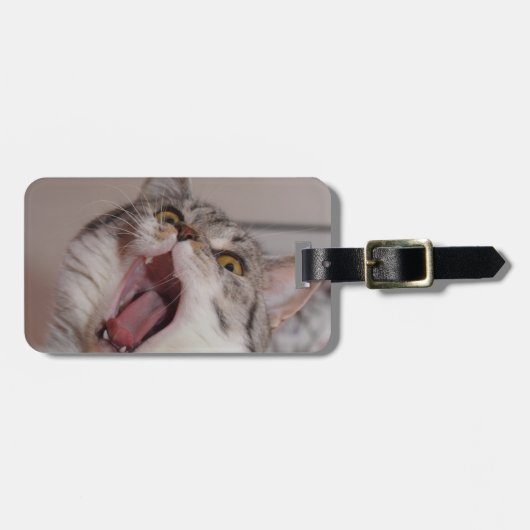 Screening British Shorthair Bagagelabel (Voorkant horizontaal)