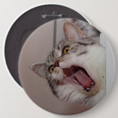 Screening British Shorthair Ronde Button 6,0 Cm (Voorkant /achterkant)
