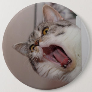 Screening British Shorthair Ronde Button 6,0 Cm
