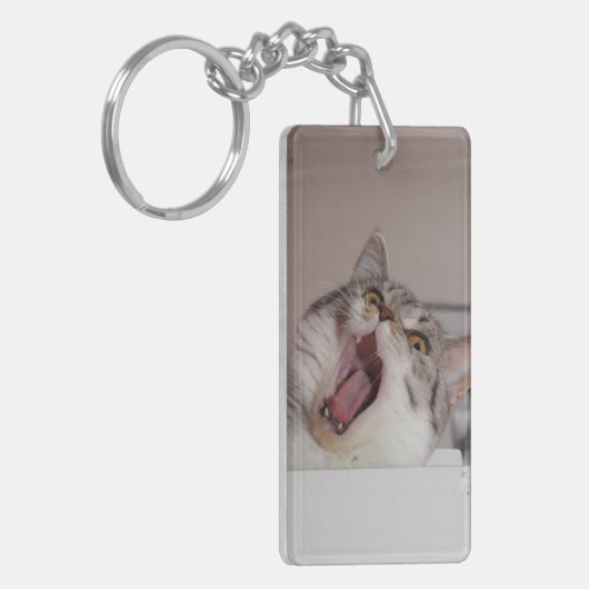 Screening British Shorthair Sleutelhanger (Voorkant Links)