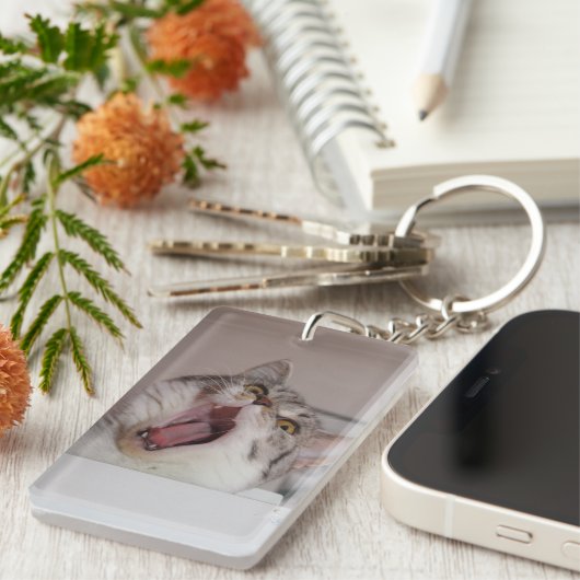 Screening British Shorthair Sleutelhanger (Voorkant Rechts)
