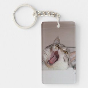 Screening British Shorthair Sleutelhanger