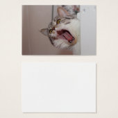 Screening British Shorthair Visitekaartje (Voorkant /achterkant)