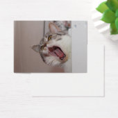 Screening British Shorthair Visitekaartje (Bureau)