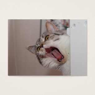 Screening British Shorthair Visitekaartje