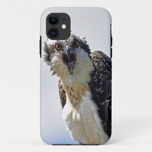 Screening op de foto van Osprey Fish-Eagle Wildlif Case-Mate iPhone Case (Achterkant)