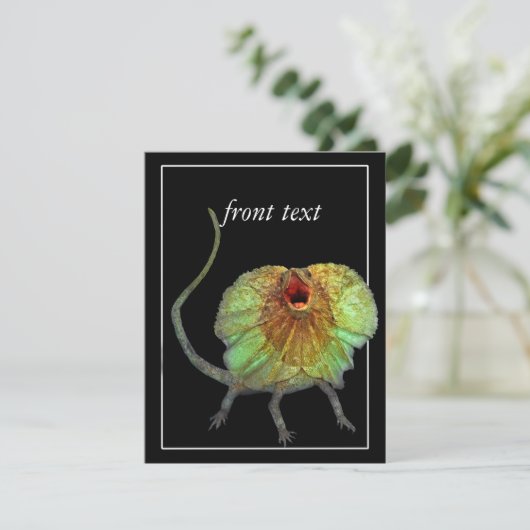 Screeninghagedis Kaart (Staand voorkant)