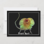 Screeninghagedis Kaart (Voorkant)