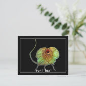 Screeninghagedis Kaart (Staand voorkant)