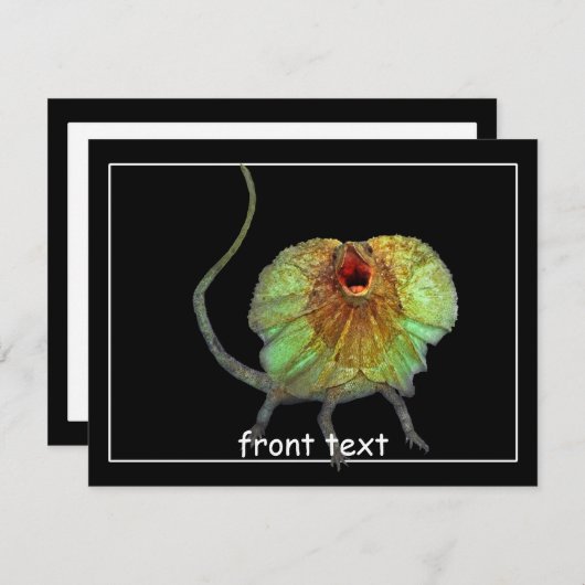 Screeninghagedis Kaart (Voorkant / Achterkant)