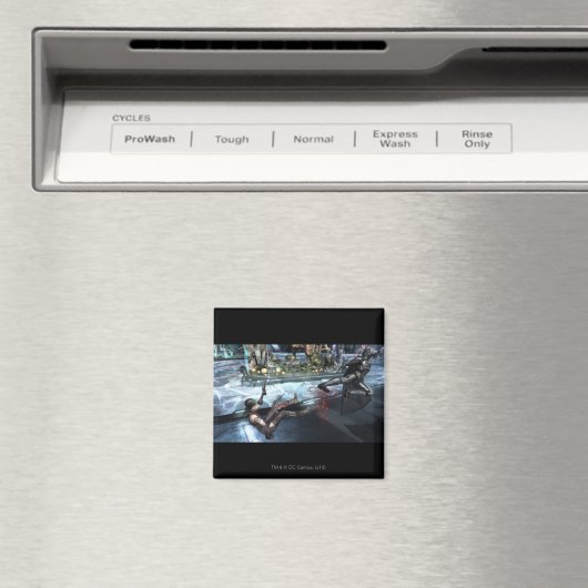 Screenshot: Harley vs Batman Magneet (Insitu (Vaatwasser))