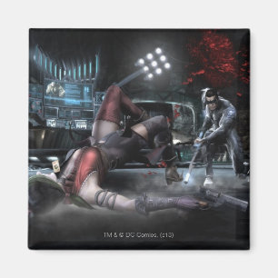 Screenshot: Harley vs Nightwing 2 Magneet