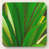 Screw Pine Closeup Drankjes Onderzetter (Voorkant)