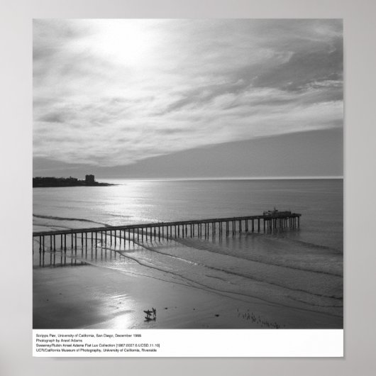 Scripps Pier, 1966 Poster (Voorkant)