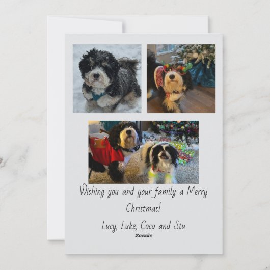 Script Merry Christmas Photo Card Feestdagenkaart (Achterkant)