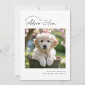 Script Moderne Minimalistische Aanbid Hem Hond Fam Feestdagenkaart (Voorkant)