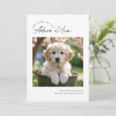 Script Moderne Minimalistische Aanbid Hem Hond Fam Feestdagenkaart (Staand voorkant)