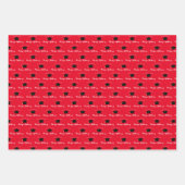 Script Naam Afstudeerdopje Klasse Jaar Rood Inpakpapier Vel (Voorkant 3)