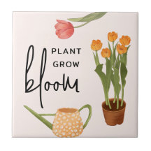  Script Plant Grow Bloom Tulip