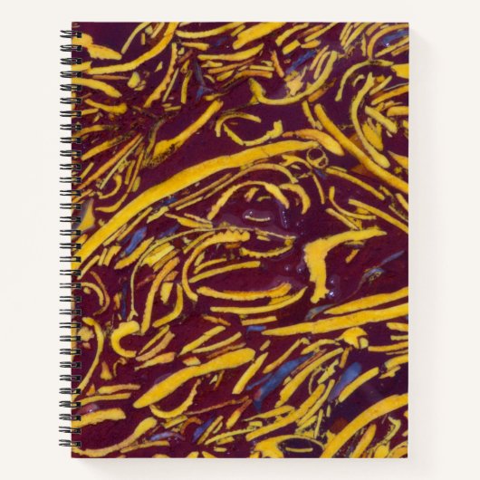 Script Steen Notitieboek (Voorkant)