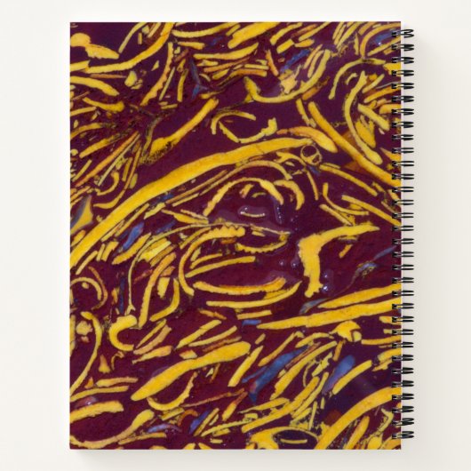 Script Steen Notitieboek (Achterkant)
