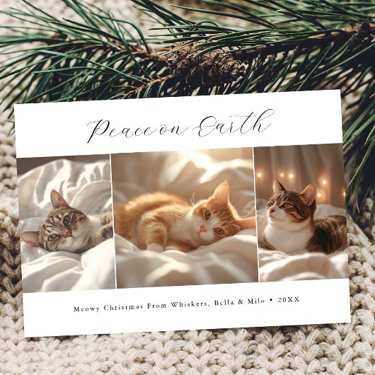 Script Vrede op Aarde Meowy Kerst Kat Foto Feestdagenkaart