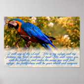 Scriptafdrukken: psalm 91:2,4 met Blue Macaw Poster (Voorkant)