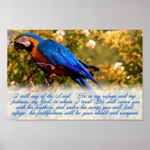 Scriptafdrukken: psalm 91:2,4 met Blue Macaw Poster