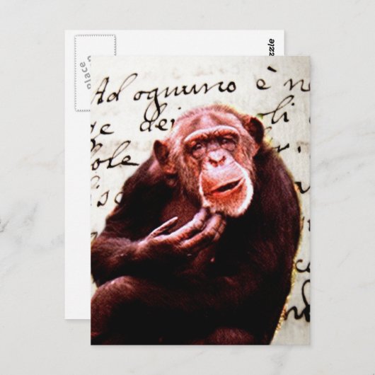  scripts grappig Chimpansee Briefkaart (Voorkant / Achterkant)