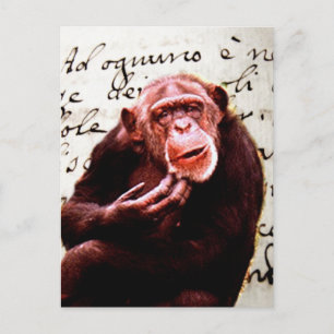  scripts grappig Chimpansee Briefkaart