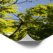 Scripts, onthullingen 1:7, poster (Hoek)