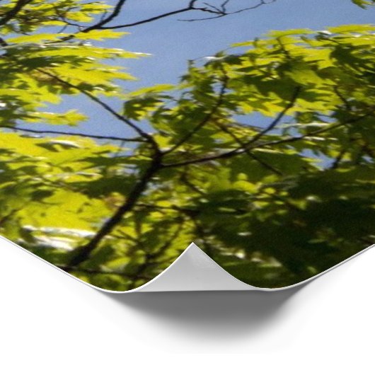 Scripts, onthullingen 1:7, poster (Hoek)