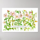 Scripture Matthew 6:33 Bijbelverse Primrose Flower Poster (Voorkant)