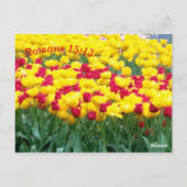 Scripture Meditation Card Romans 15:13 Briefkaart (Achterkant)