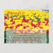 Scripture Meditation Card Romans 15:13 Briefkaart (Voorkant)