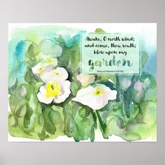 Scripture Song of Solomon White Poppies  Poster (Voorkant)