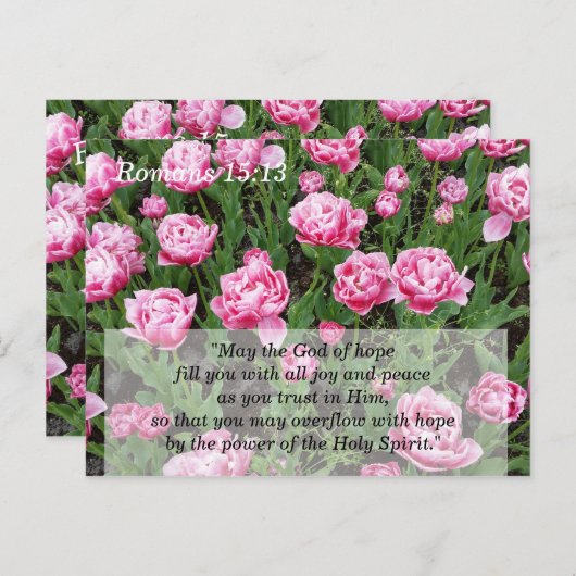 Scriptverwerking en geheugenkaart briefkaart (Voorkant / Achterkant)