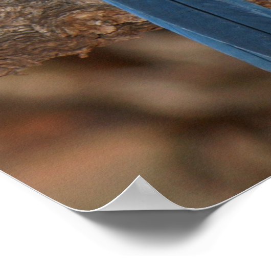 Scrub Jay Poster (Hoek)