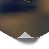 Scrub Jay Poster (Hoek)