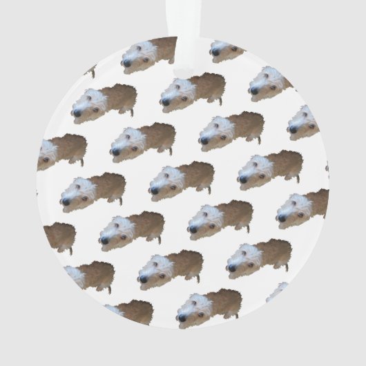 Scruffy Dog Ornament (achterkant)